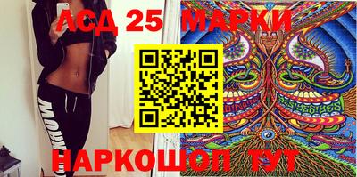 гидропоника Гатчина