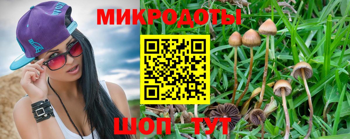 Новодвинск  Псилоцибиновые грибы прущие грибы  закладки  Вход с VPN 