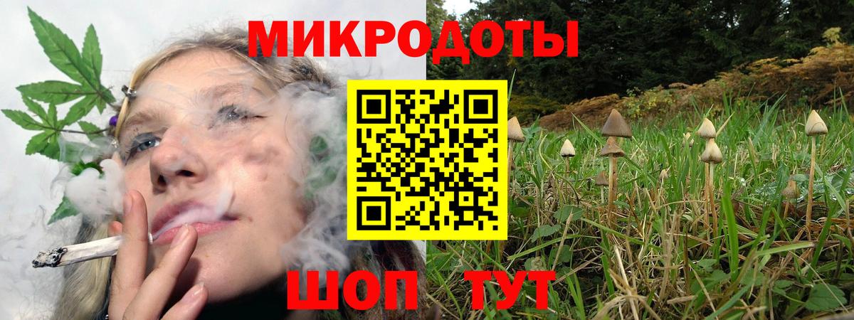 Галлюциногенные грибы Psilocybine cubensis Новодвинск
